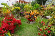 Guadeloupe2025-115