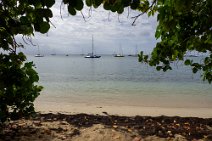 Guadeloupe2025-116