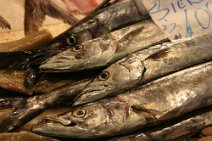 007 Sant-pesce0017