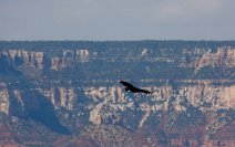 USA_0034