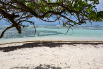 Guadeloupe-116