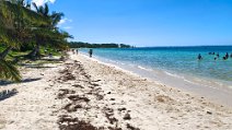 Mauritius-104 oplus_3145728