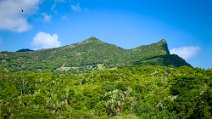 Mauritius-113 oplus_3145984